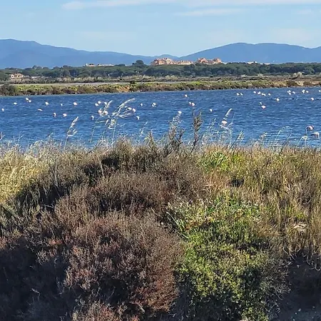 Apartment Pesquiers T2 Grande Terrasse Hyeres